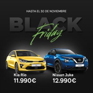 Promoción Ariocasion Black Friday